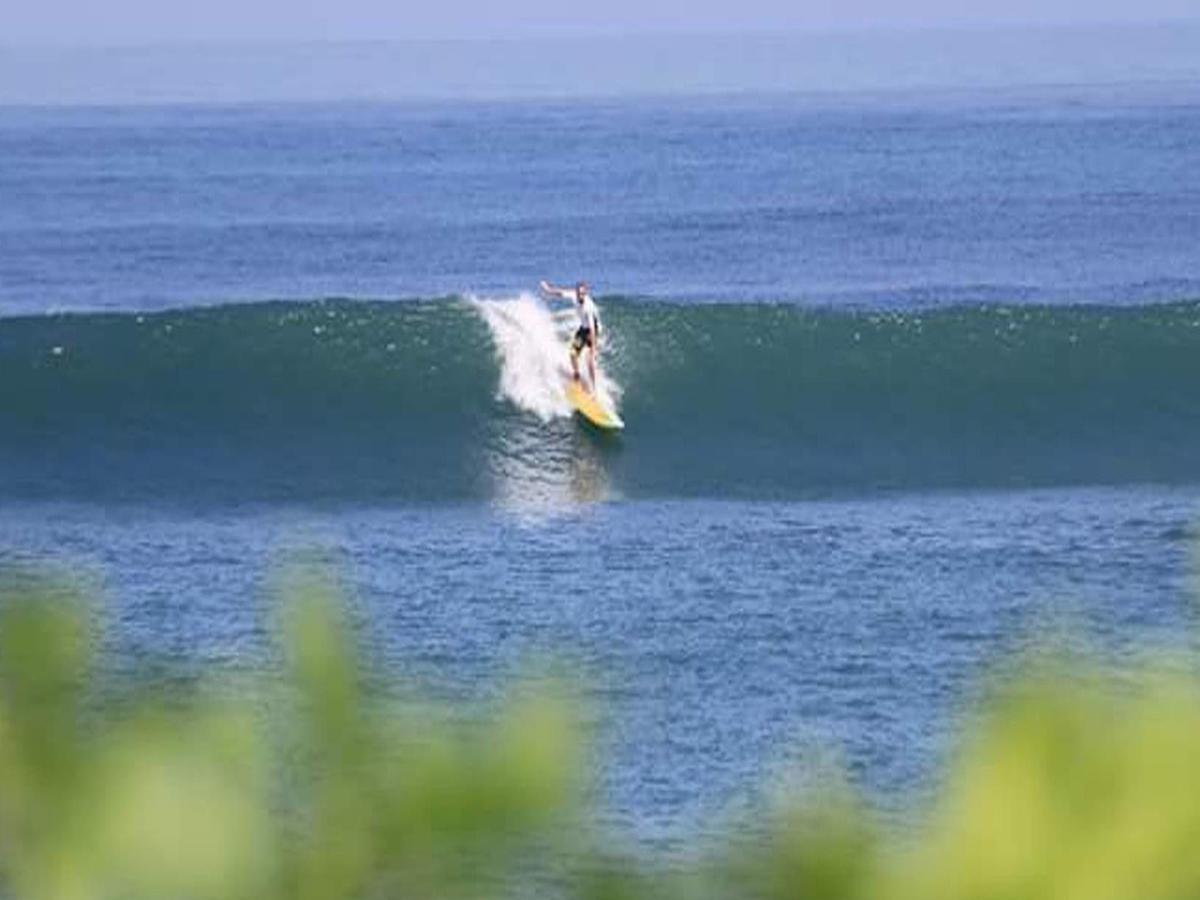 The Nest Canggu المظهر الخارجي الصورة